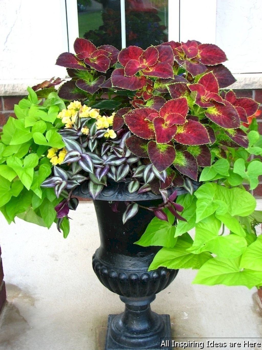 Topiaries For Front Porch - Foter