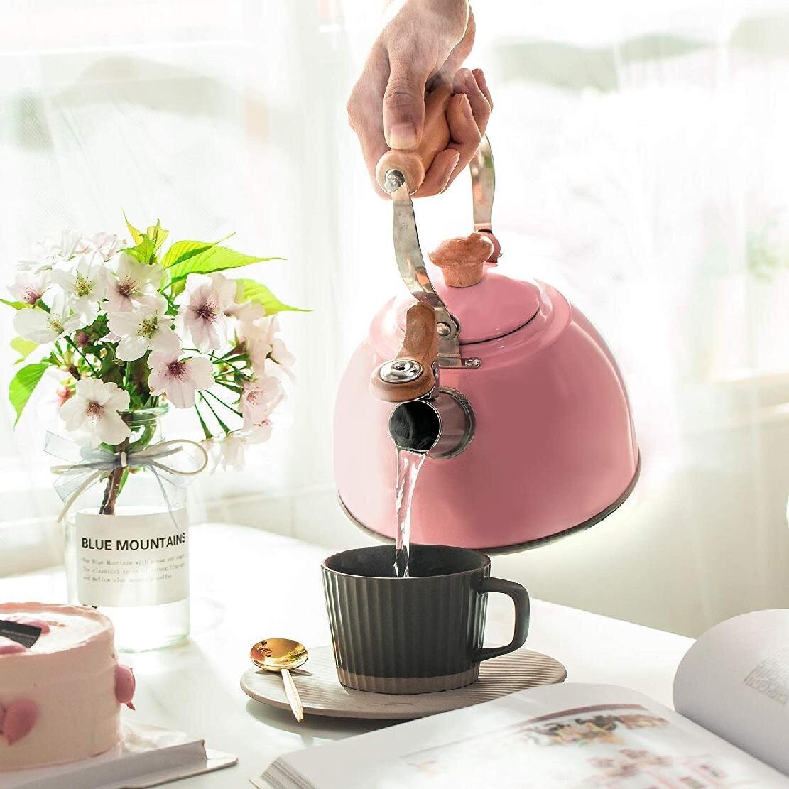Bright Pink Kettle with Handle 