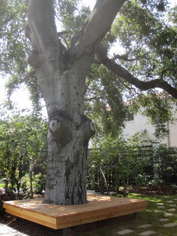 Tree surround online seat