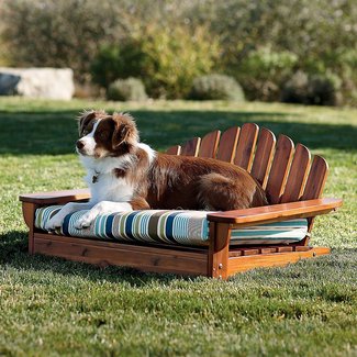 Outdoor Dog Furniture - Foter