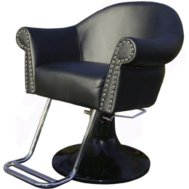 Salon Chairs - Ideas on Foter