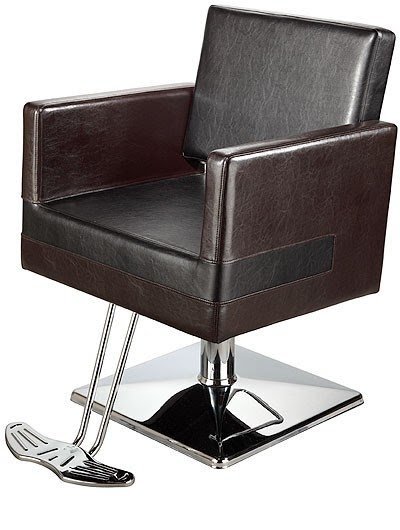 Salon chairs 1