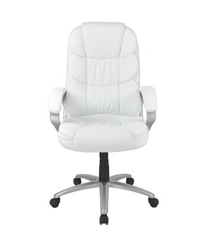 leather office chairs foter