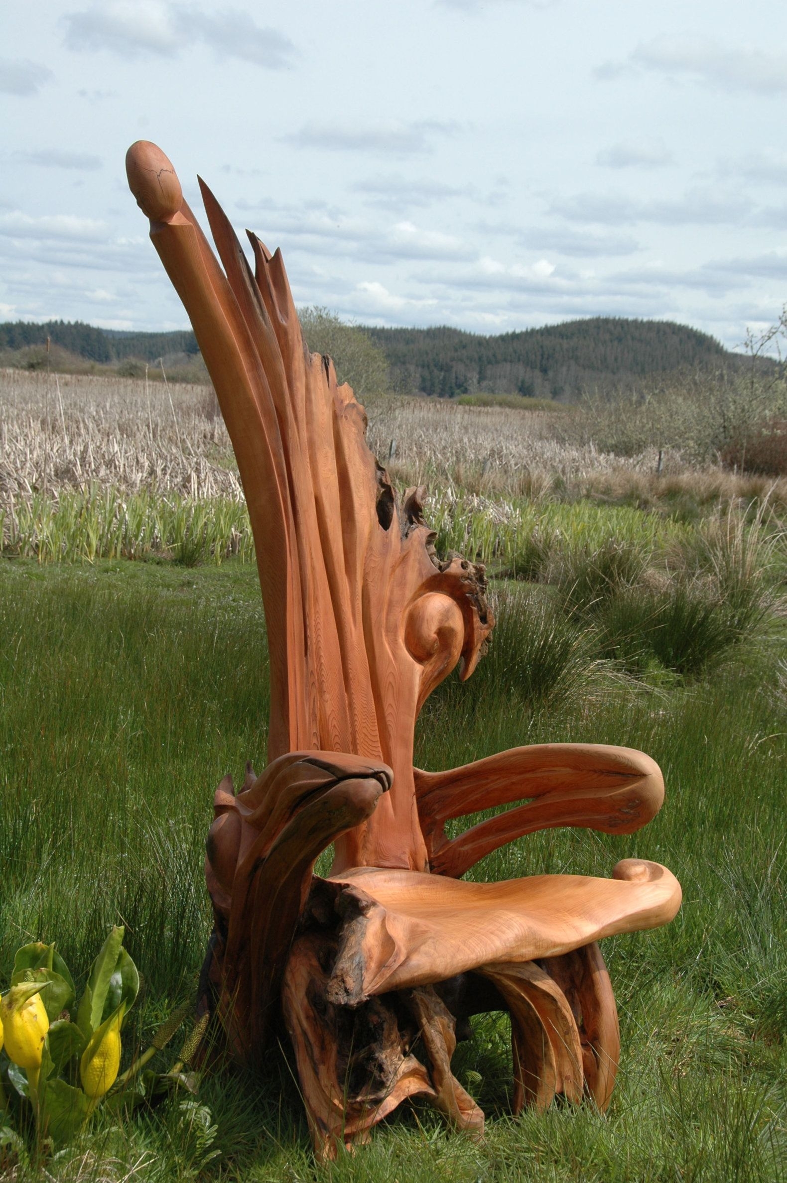 Tiger oak chairs