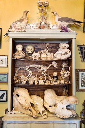 Unique Curio Cabinets - Foter