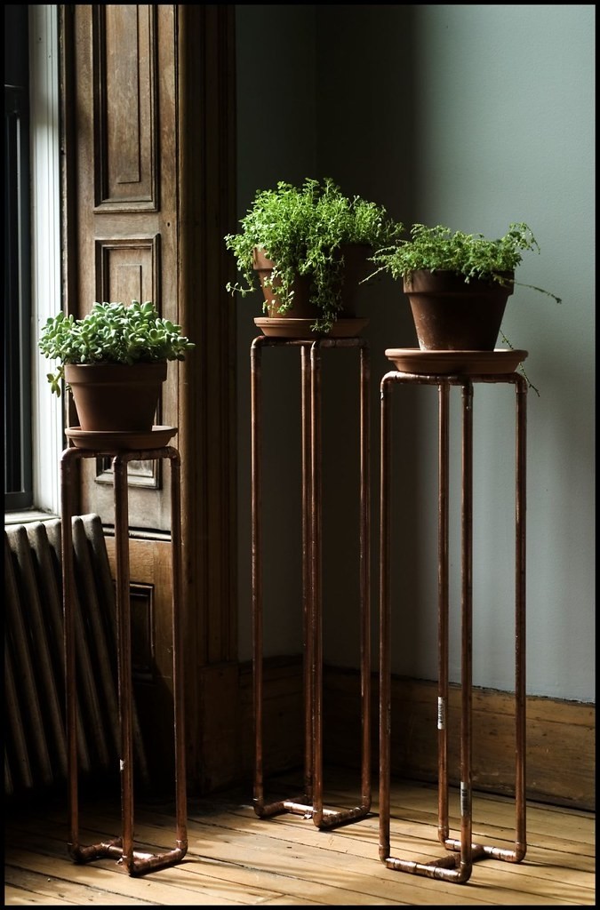 pine plant stands indoor