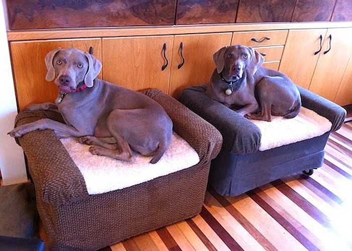 Large 2025 dog ottoman