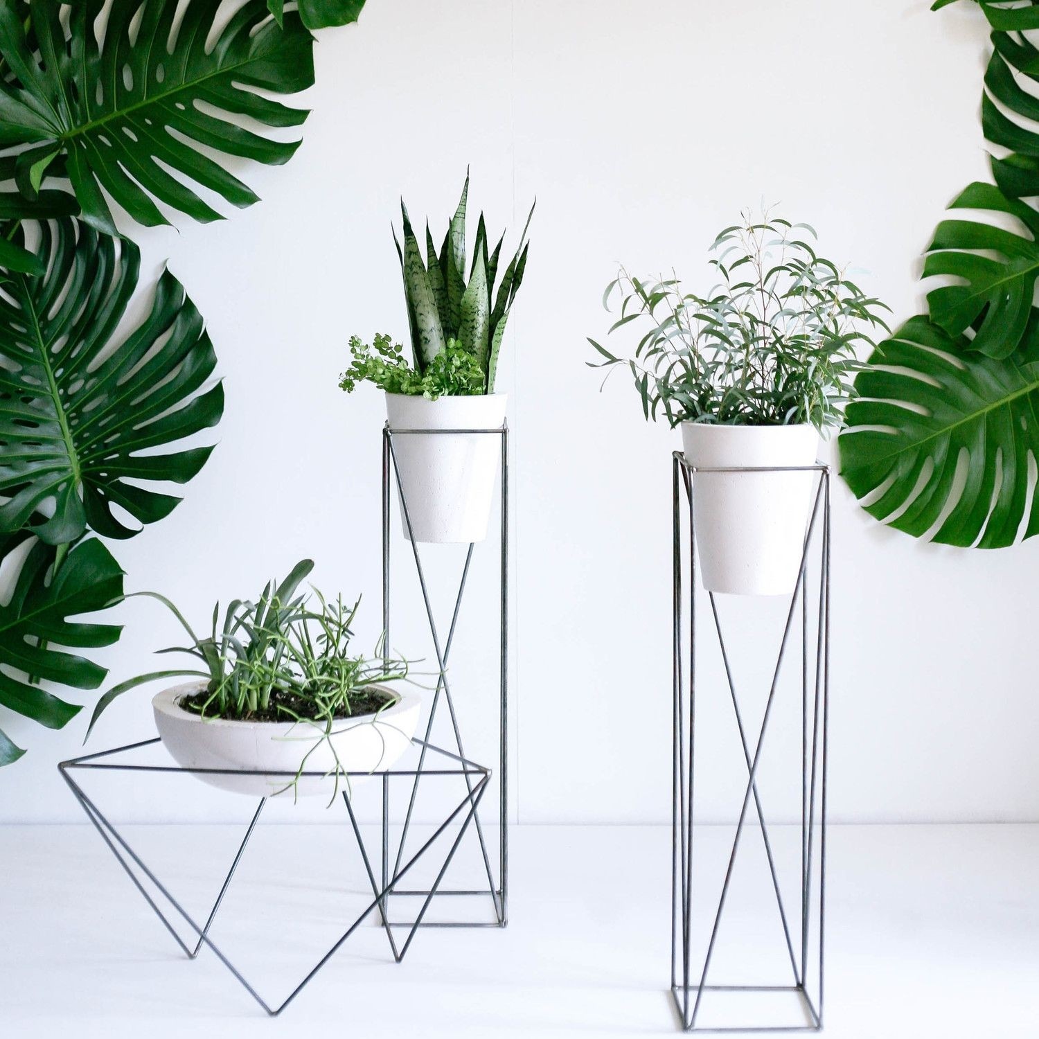 Tall Pedestal Plant Stand - Ideas on Foter