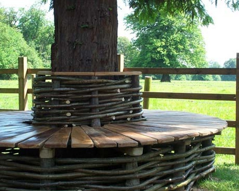 Tree ring bench