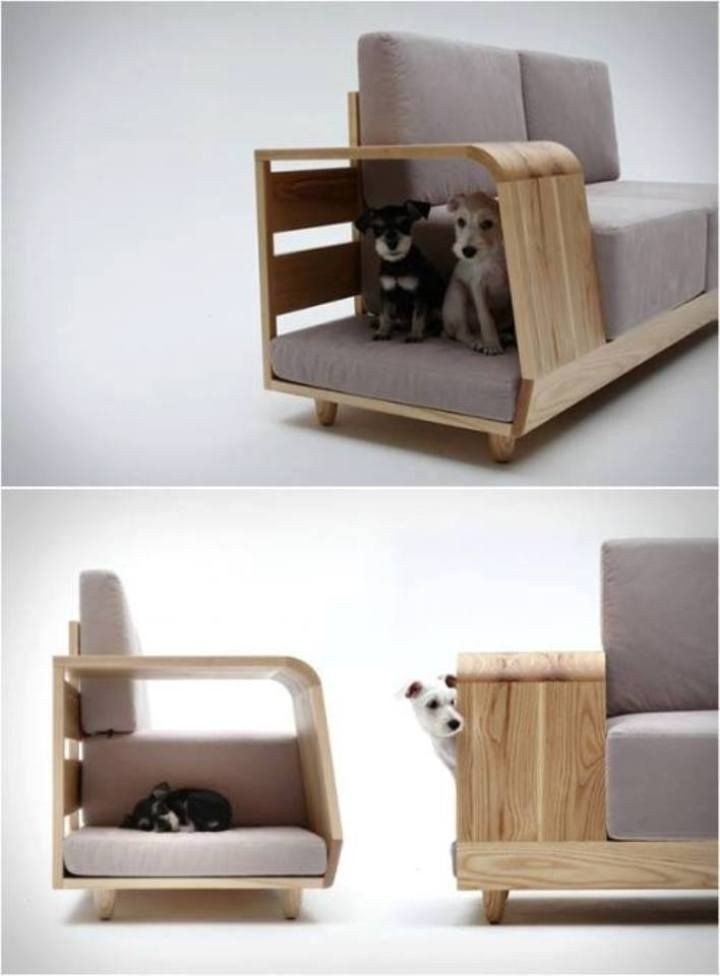 Cute dog houses