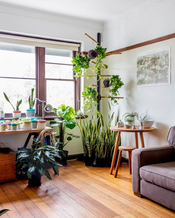 Behind couch store plant stand