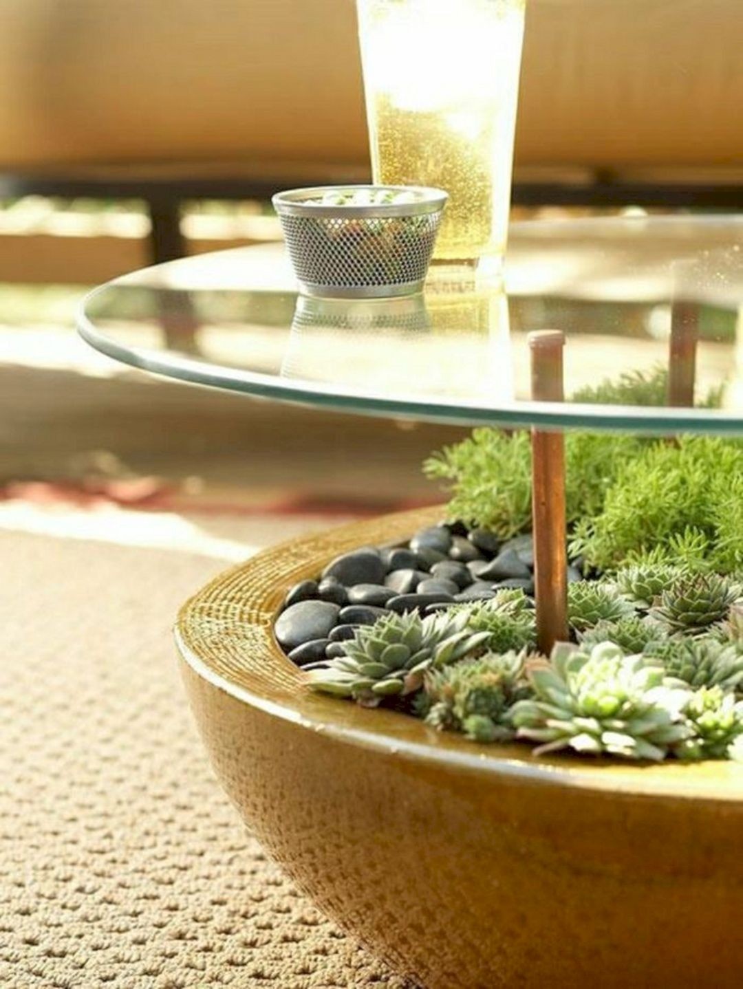 plant table indoor