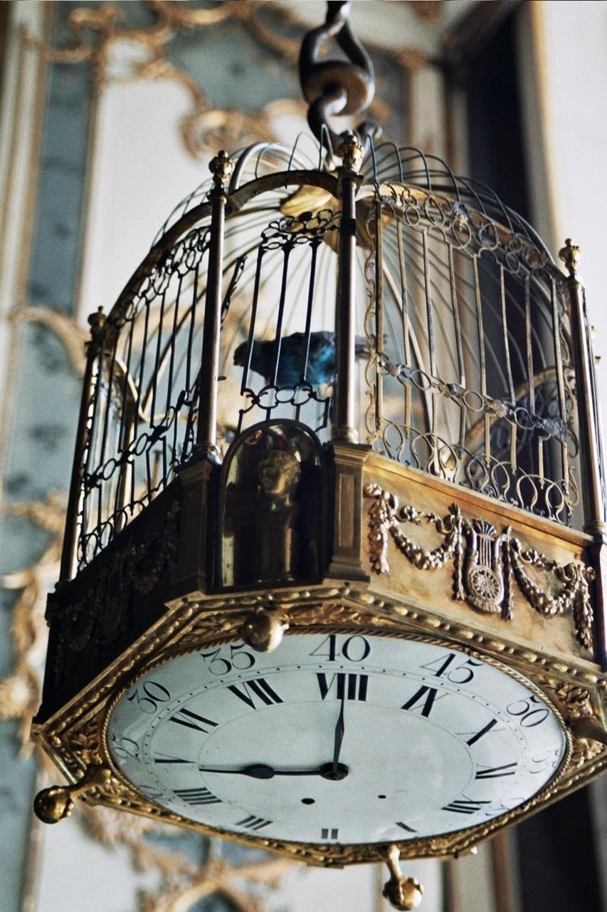 Birdcage wall clock ill be on the lookout for just