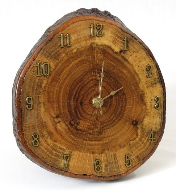 Red oak tree slice wall clock