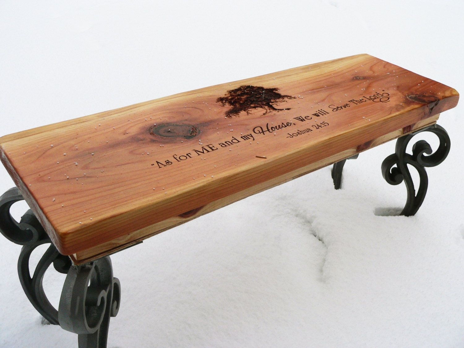 Engraved bench 1