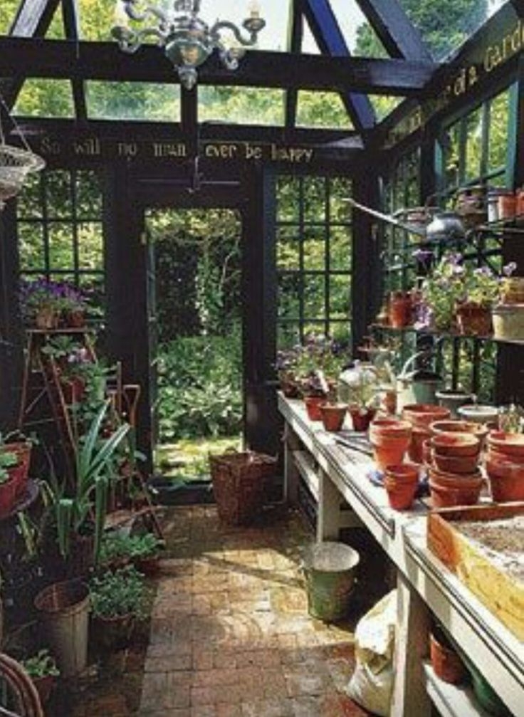 Greenhouse shelves diy