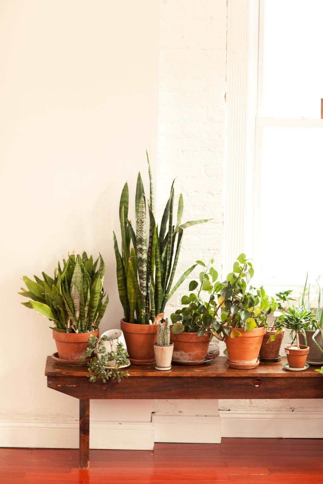 cheap plant table