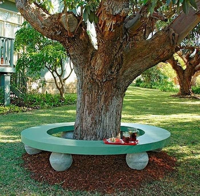 Tree benches 2