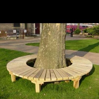 Tree Benches - Ideas on Foter