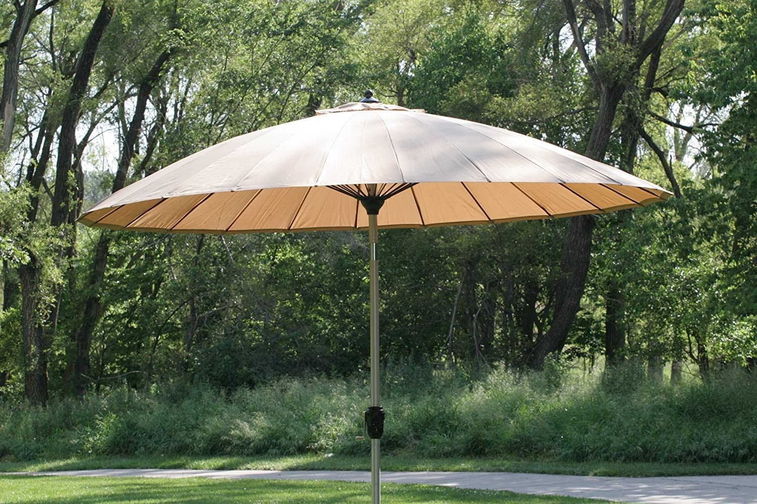 9-10' Outdoor Wind Resistant Patio Umbrella with Aluminum Pole - Tan