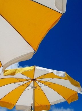 Orange-Patio-Umbrellas---Foter