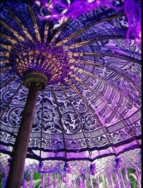 Purple Patio Umbrellas Ideas On Foter