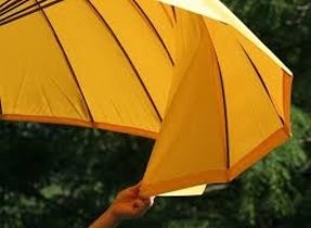 Wind Resistant Patio Umbrellas Ideas On Foter