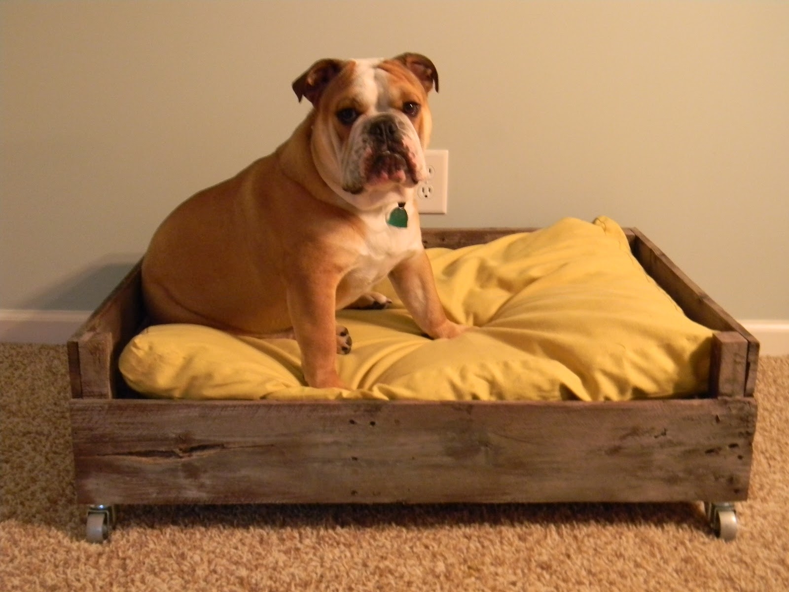 Wooden dog bed plans