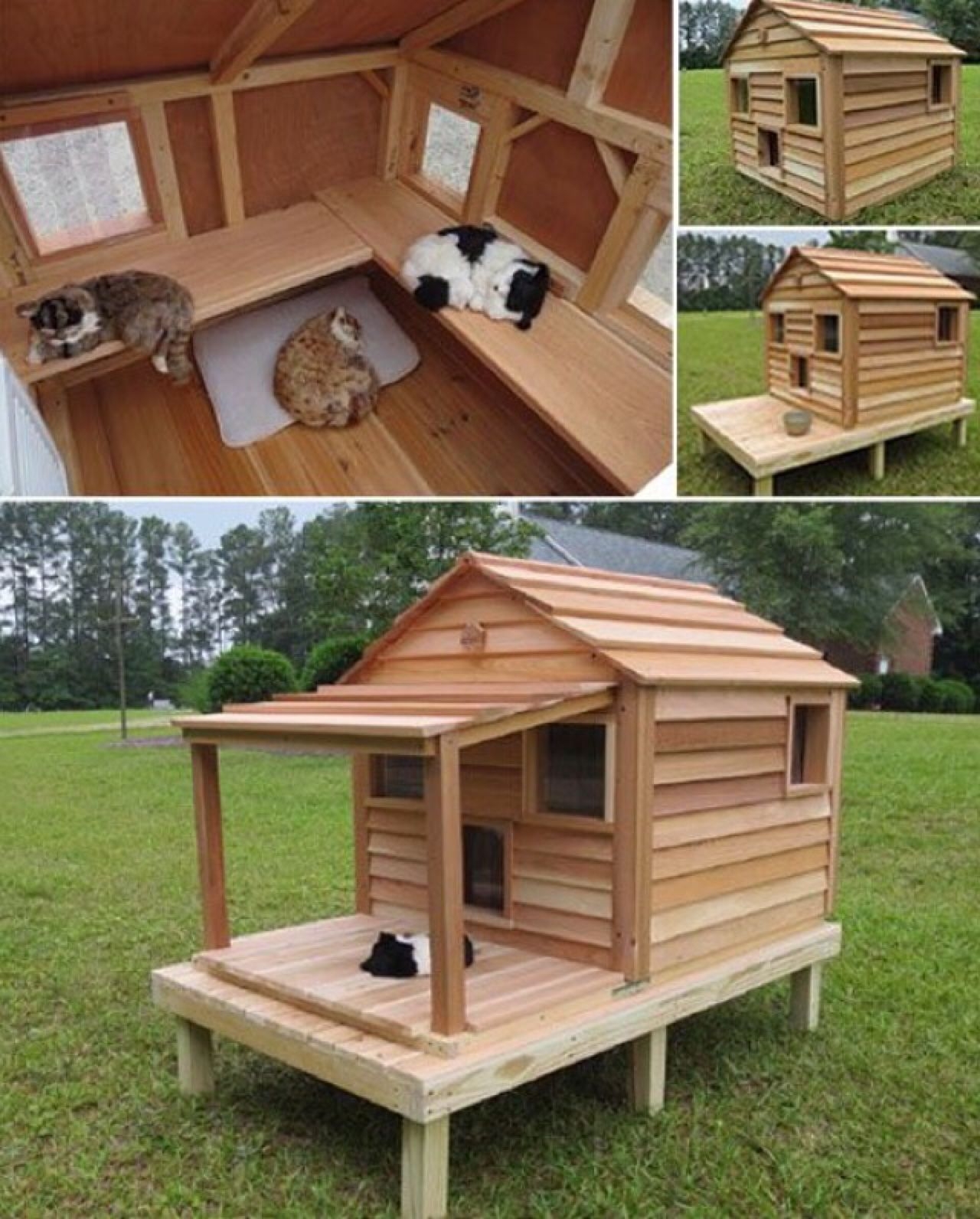 PETSITE Pet Dog House Wooden Dog Room Shelter Weatherproof Puppy House Condo Room with Platform Feral Insulated Pet House Log Cabin 