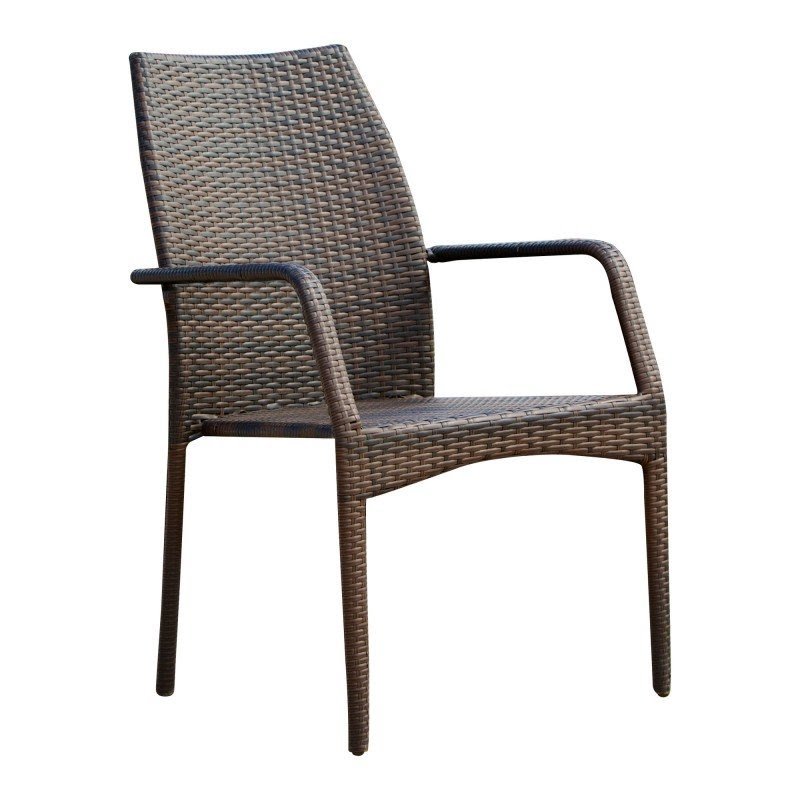 Canoga Arm Chair (Set of 2)