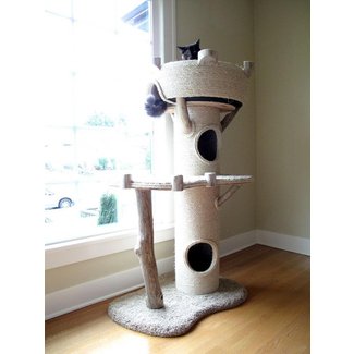 Cat Tree Furniture - Foter