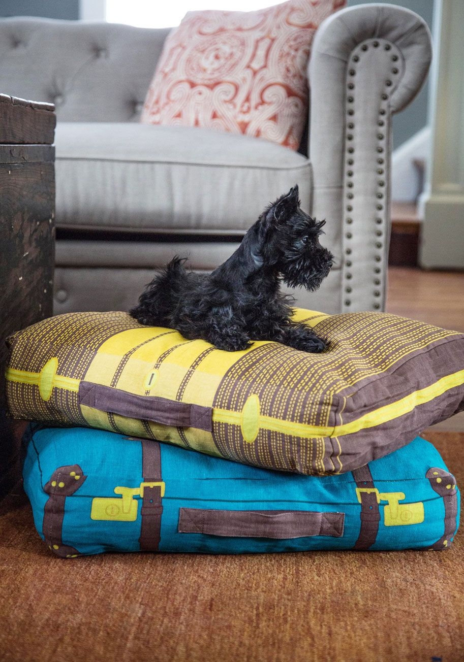 Novelty goodies outlet dog bed