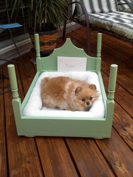 Novelty dog beds 7