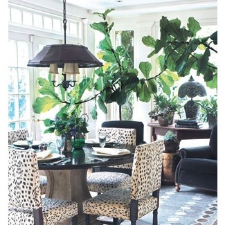 Animal Print Dining Room Chairs Ideas On Foter