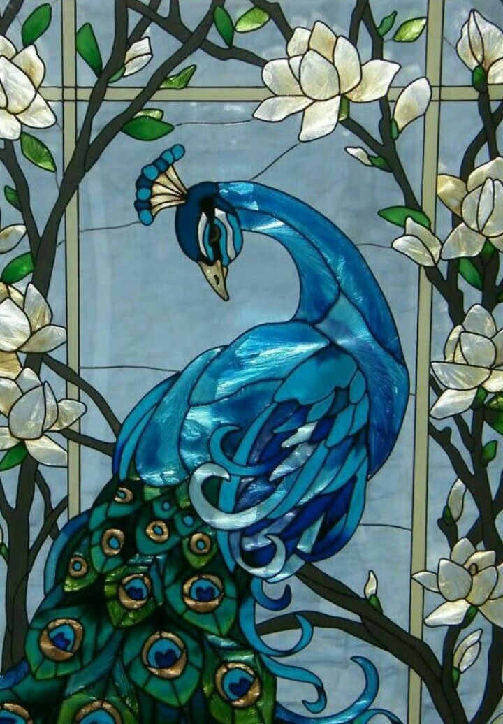 Magnificent peacock 17x37 stained glass window panel