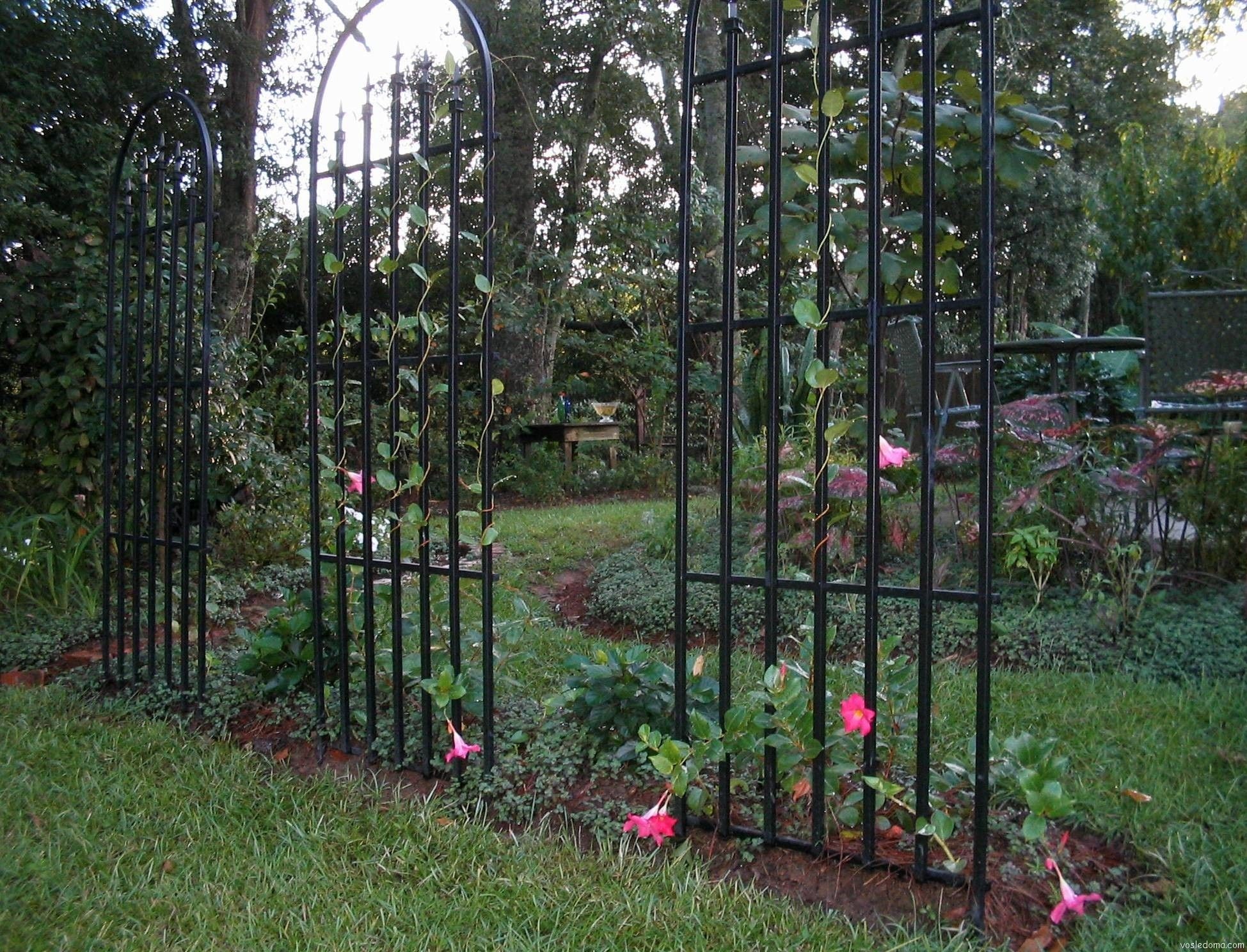 Iron Arbors And Trellises - Ideas On Foter