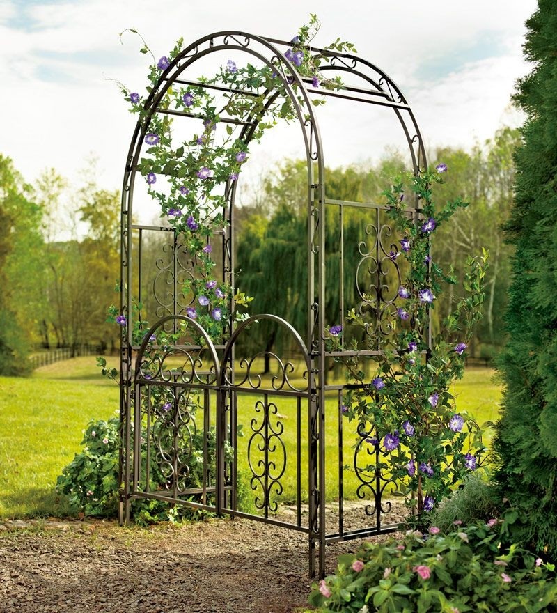 Iron Arbors and Trellises - Foter