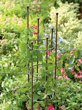 Iron Arbors And Trellises - Foter