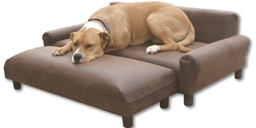 x large dog beds