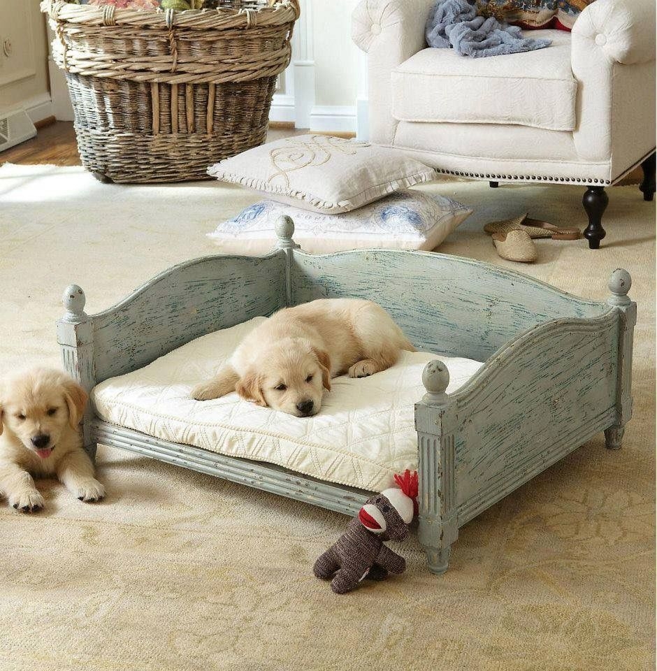 Diy indoor dog sales house ideas