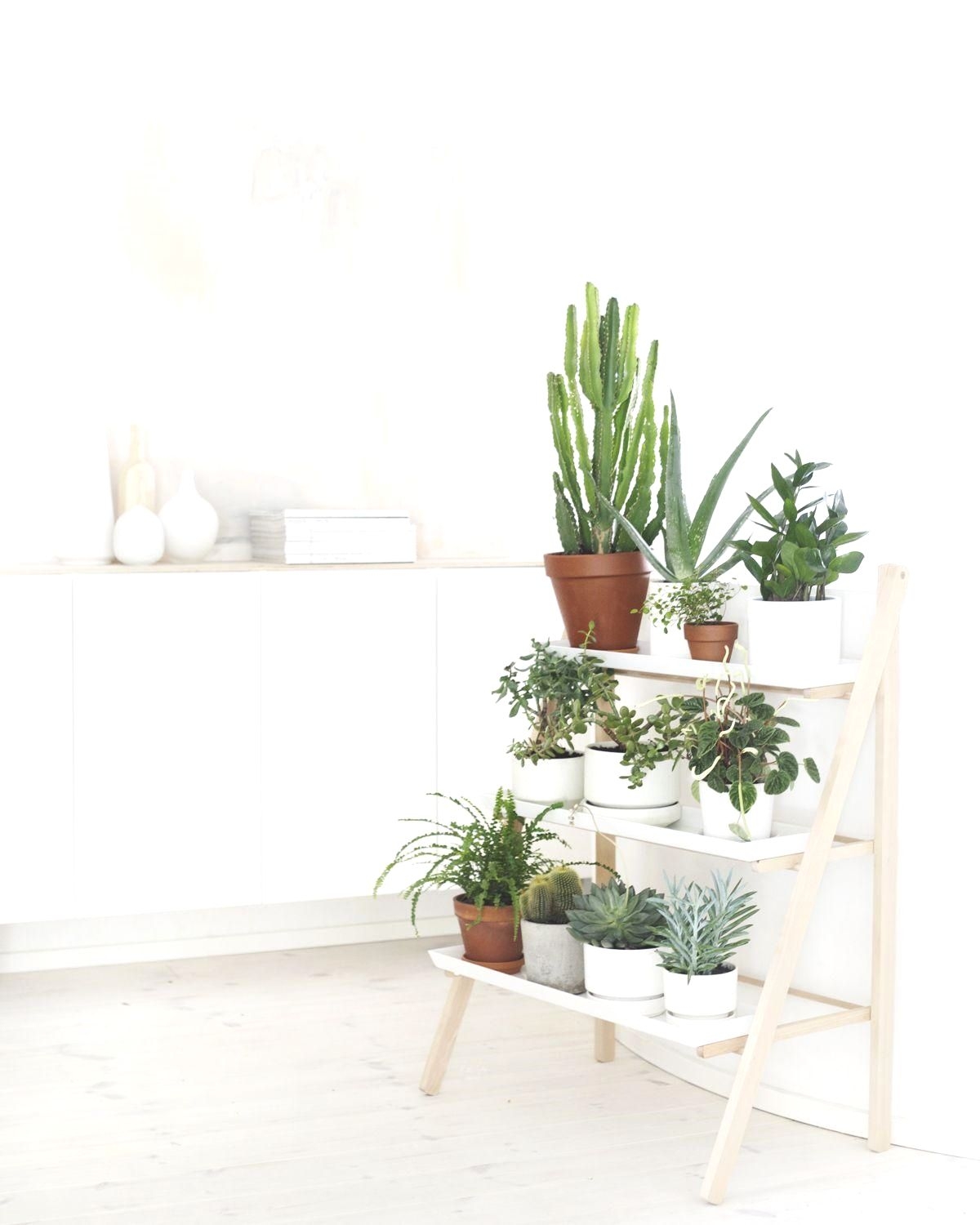 ikea plant stands indoor