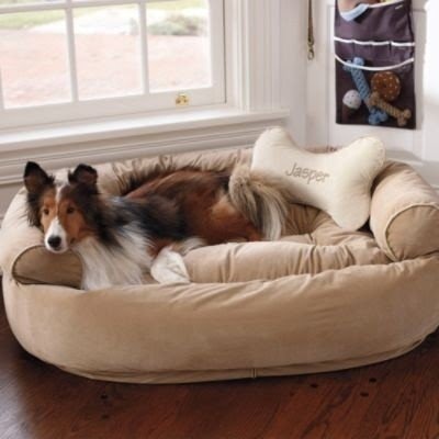 Pet couch bed