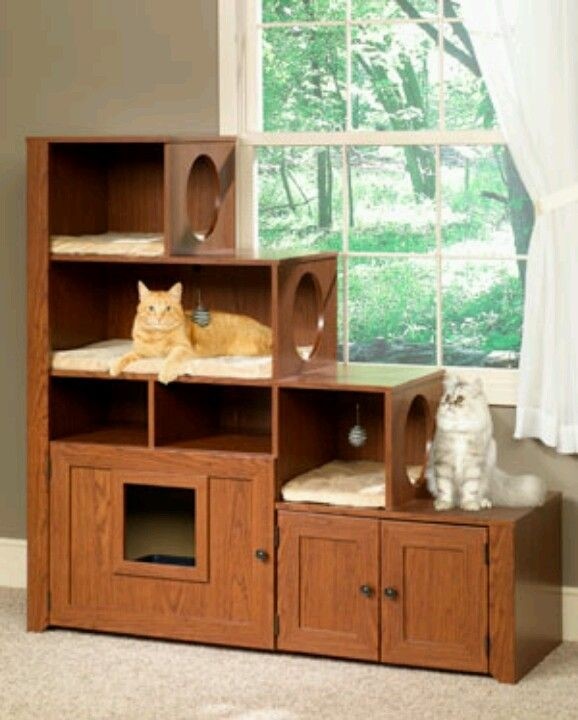 Bookcase climber litter box cabinet cat furniture
