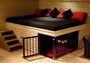 Dog Bedroom Furniture Ideas On Foter