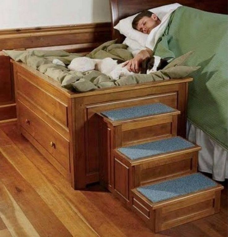 Bed frame with shop built in dog bed