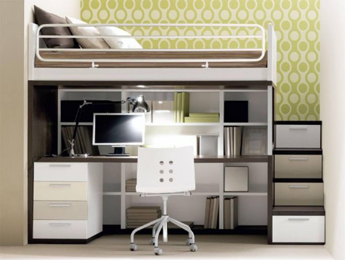 study bunk bed