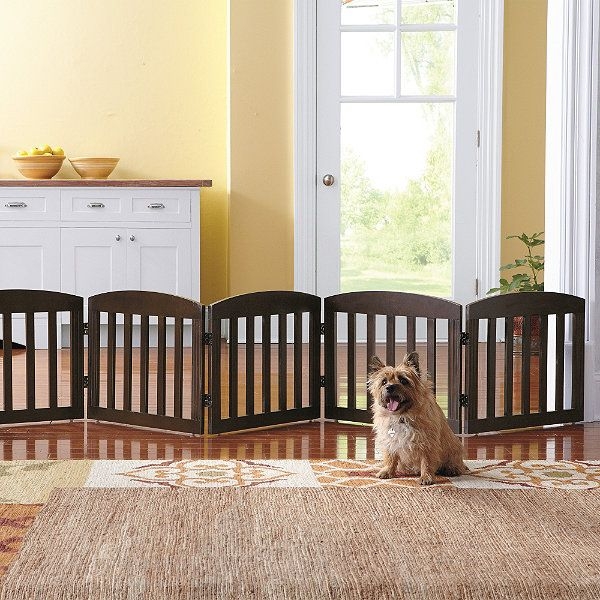 Baby dog best sale gates indoor