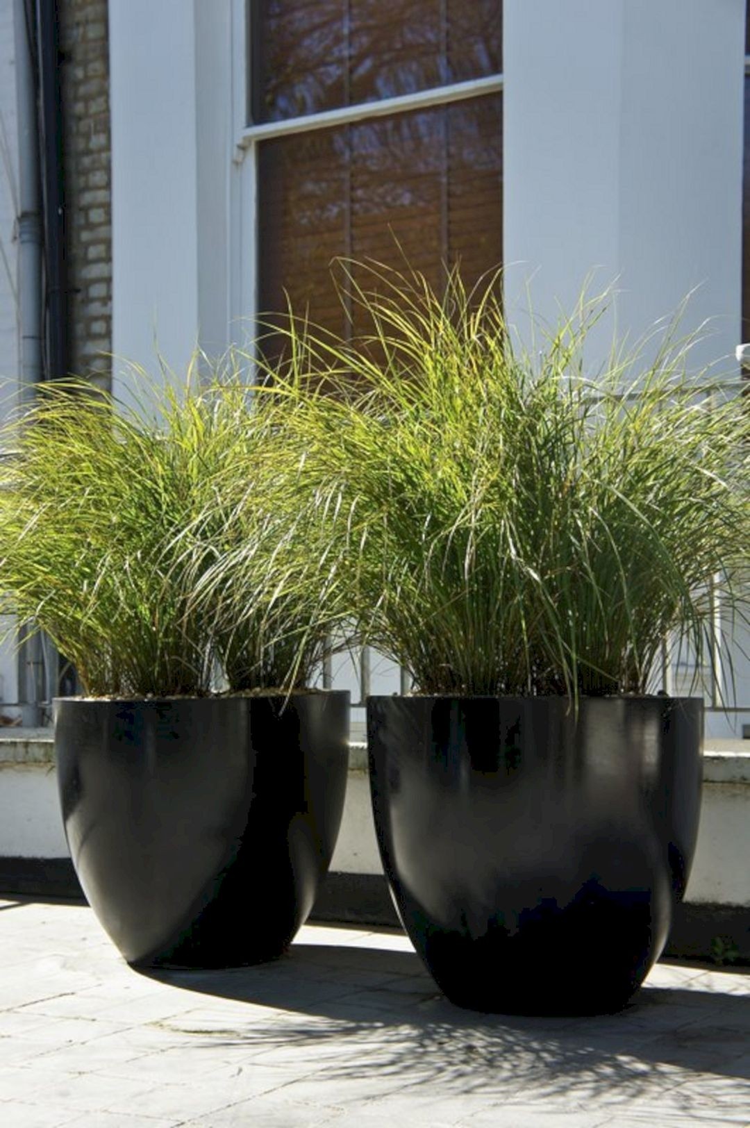 Designer indoor plant pots