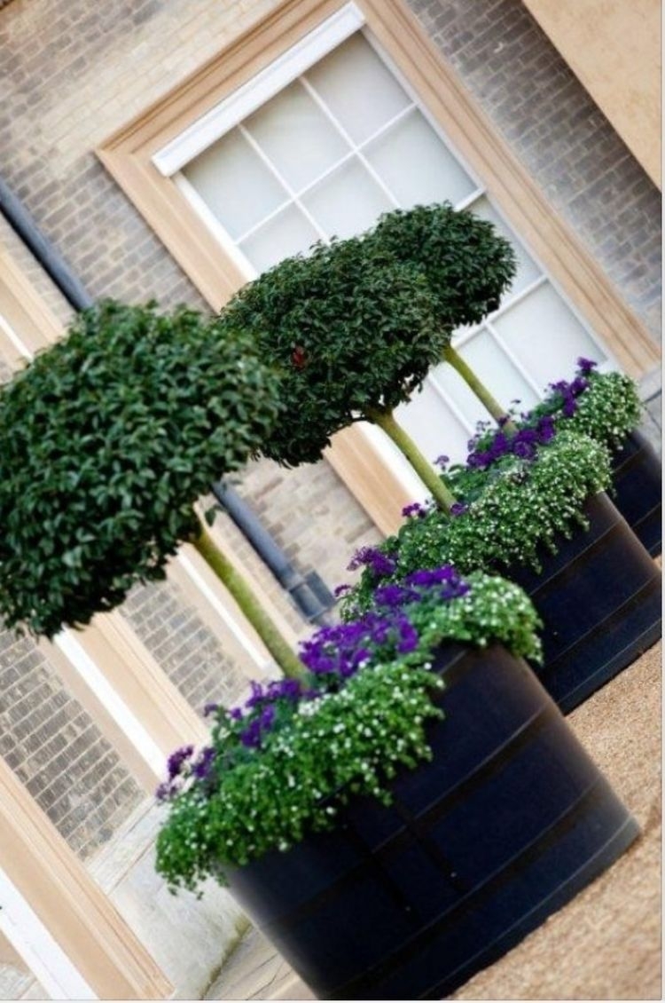 large-black-planter-ideas-on-foter