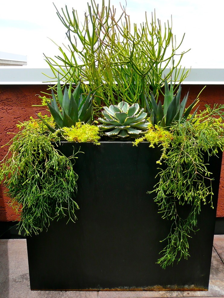 Large Black Planter - Foter